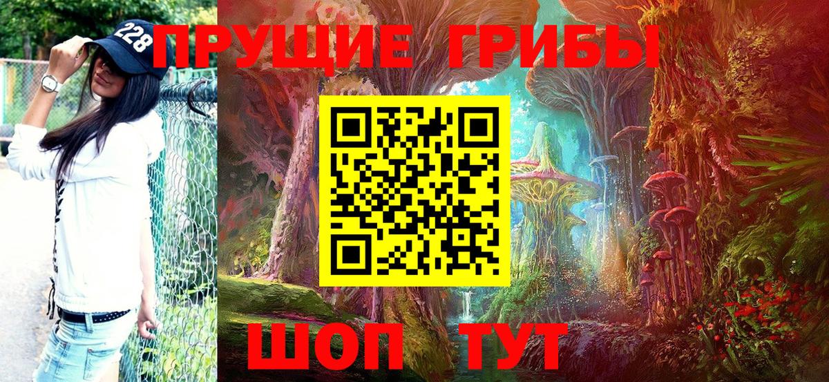 Галлюциногенные грибы Psilocybine cubensis Острогожск