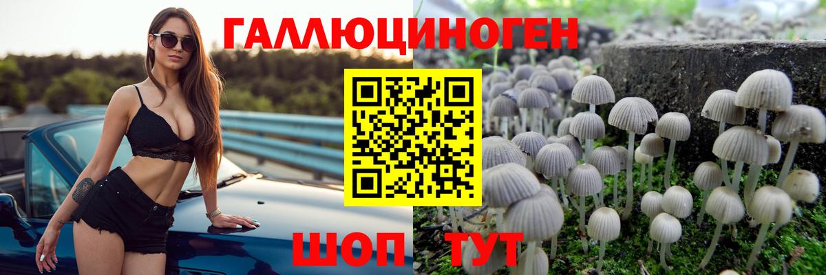 Псилоцибиновые грибы прущие грибы  цена   Острогожск  Вход с VPN 